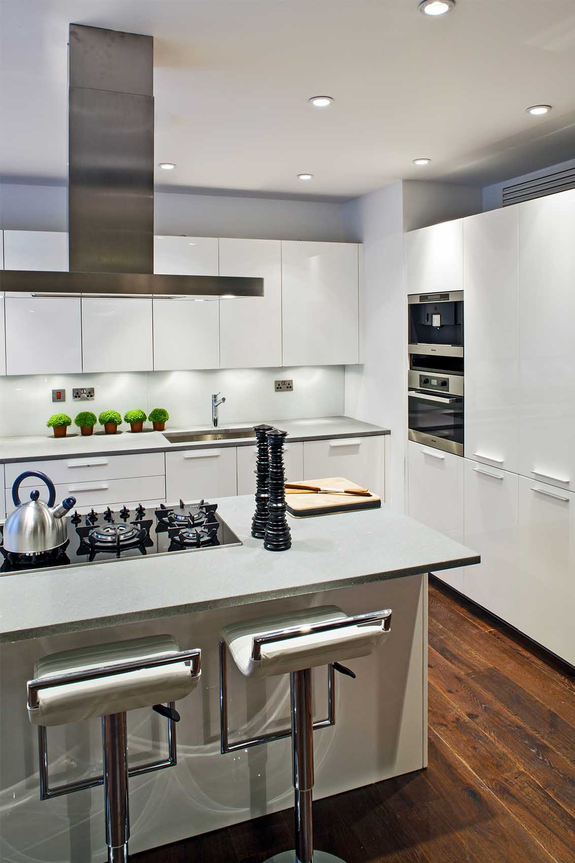 Residential Apartment Design Overlooking Hampstead Heath