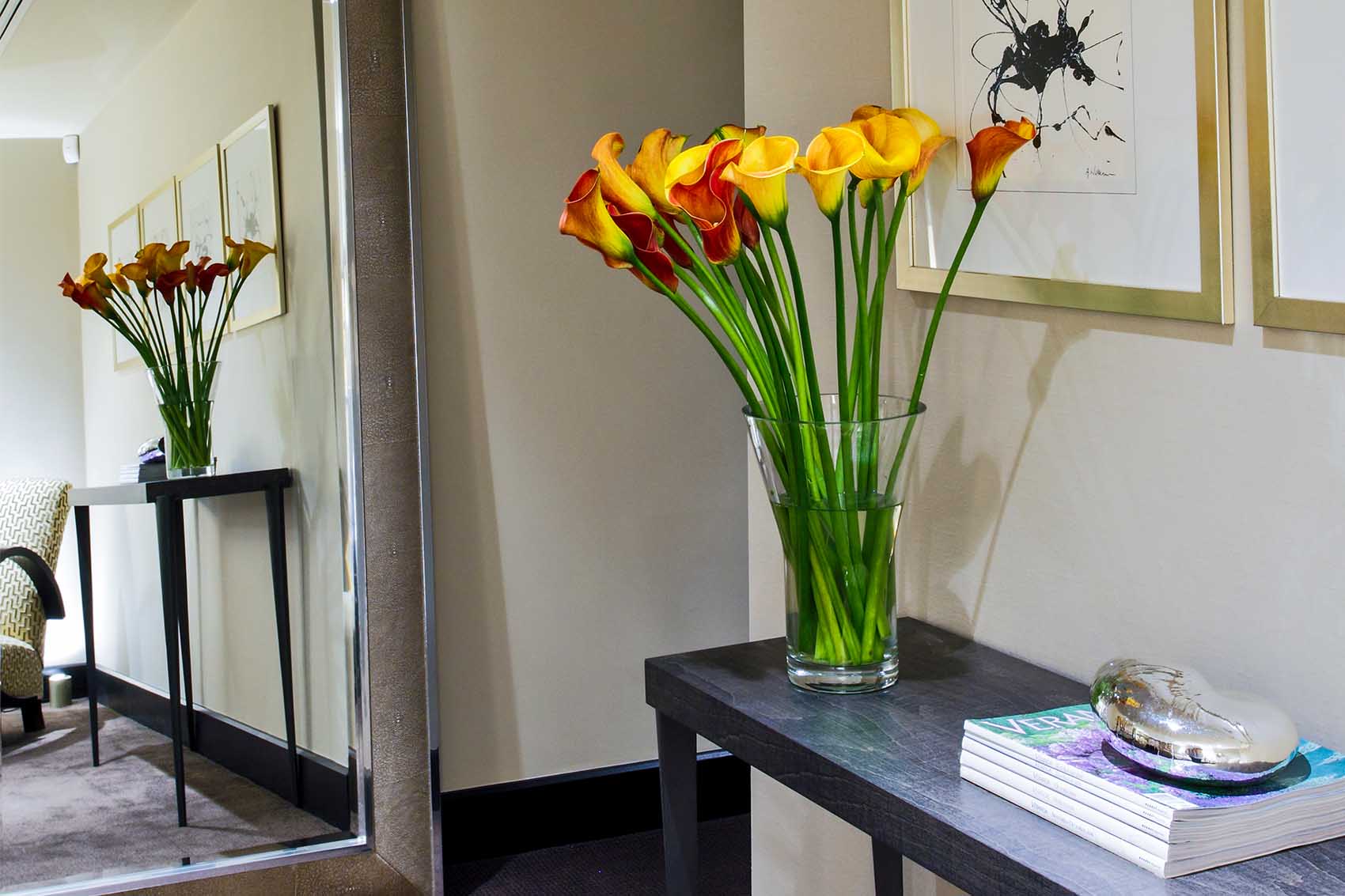 Residential Apartment Design Overlooking Hampstead Heath